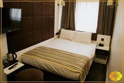 a hotel room with a bed and a television at PALMYE HOTEL Beyoylu in Istanbul