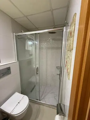 a bathroom with a shower and a toilet at PALMIYE hotel SUITES in Istanbul