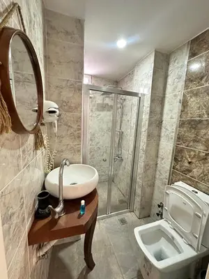 a bathroom with a shower and a sink and a toilet at Sevil new apart in Istanbul