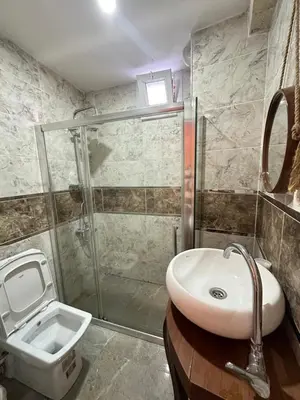 a bathroom with a shower and a sink and a toilet at Sevil new apart in Istanbul