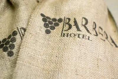 a close up of a shirt with a bunch of paw prints at Barbera Hotel in Istanbul