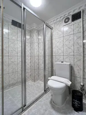 a bathroom with a toilet and a shower at Sultanahmet Apart Hotel in Istanbul