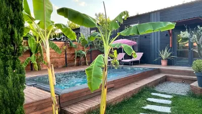 a pool in the backyard of a house with plants at Loft Black Sapanca in Sapanca