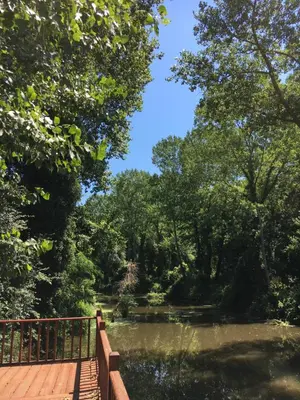 a bridge over a pond in a park at Villa Riva Garden in Polonezkoy