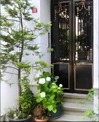 a front door with potted plants on the steps at A million dollar view of the Bosporus and balcony in Istanbul