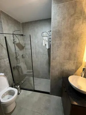 a bathroom with a shower and a toilet and a sink at Trio Palace in Istanbul