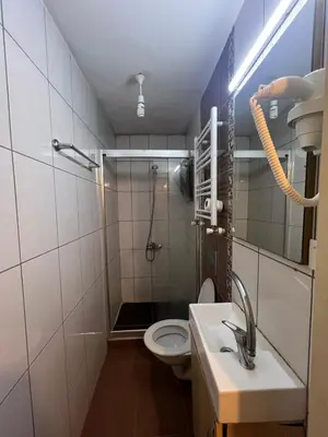 a bathroom with a shower and a sink and a toilet at Taksim White Mansion Hotel in Istanbul