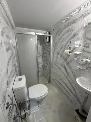 a bathroom with a shower and a toilet and a sink at Ada Apart Otel in Istanbul