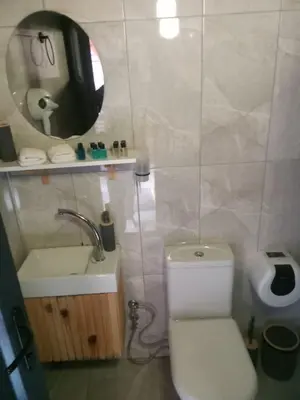 a bathroom with a toilet and a sink and a mirror at Flamingo aura in Sapanca