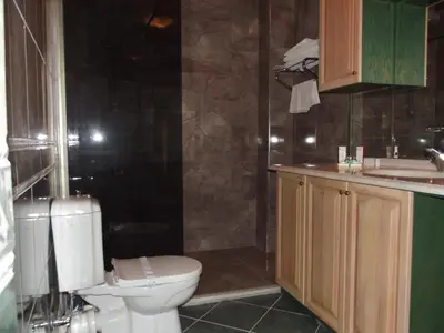 a bathroom with a toilet and a shower and a sink at Mavi Inci Park Otel in Erdek