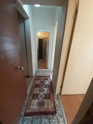 a hallway with a door and a rug on the floor at Stone Home Apart in Istanbul