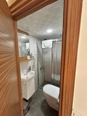 a bathroom with a toilet and a shower and a sink at Viva Sirkeci Butik Hotel in Istanbul