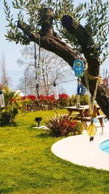 a park with a picnic table and a tree at Golyaka Stone Garden Hotel in Orhangazi