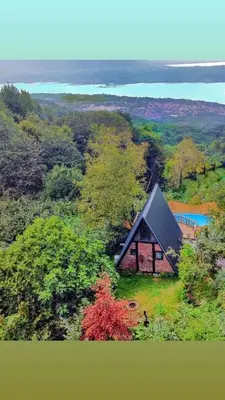 a small house in the middle of a forest at sapancakelebekvadibungalov in Sapanca