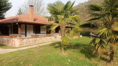 a house with two palm trees in front of it at Değirmenbaşı Otel & Restoran in Ümmiye