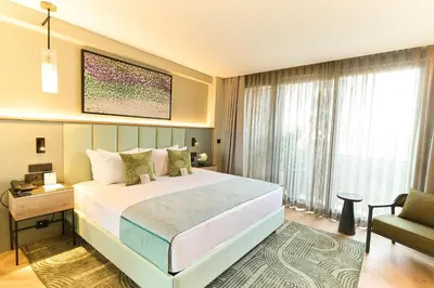 a bedroom with a bed and a desk and a chair at The Wings Hotels Pera in Istanbul