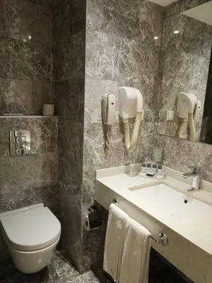 a bathroom with a toilet and a sink at Hotel Yigitalp Istanbul in Istanbul