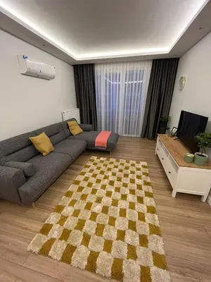 a living room with a couch and a checkered rug at Köylüm Bostanci Residence-3 in Istanbul