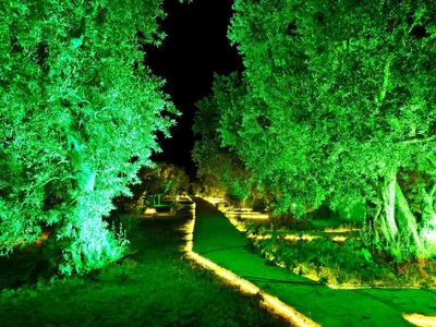 a path through a park with trees at night at ADASU Otel in Marmara