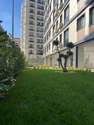 a green lawn in front of a building at Istanbul Bostanci Luxury 2 Bedroom Apartment with Pool in Istanbul