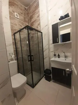 a bathroom with a shower and a toilet and a sink at Feridiye 3 Oda 1 salon Daire in Istanbul