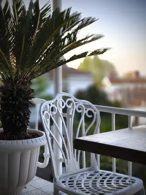 a plant in a white pot sitting next to a table at Palm Villa Büyükada in Istanbul