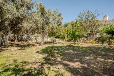 a field with trees and a building in the background at Marmara Yali Evi in Marmara