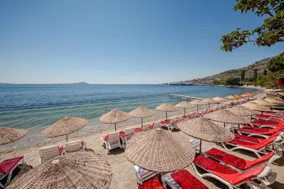 a group of chairs and umbrellas on a beach at Marmara Yali Evi in Marmara