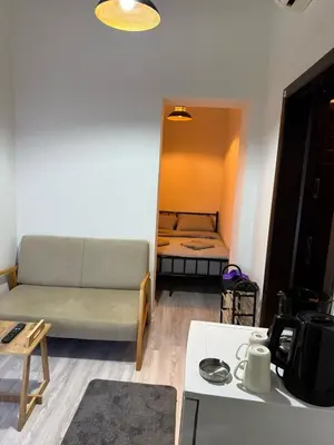 a living room with a couch and a bed at Bono Apartments Kadıköy in Istanbul