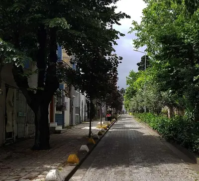 a cobblestone street with trees on either side of it at 3BR Villa with Garden & Terrace in Kadikoy in Istanbul