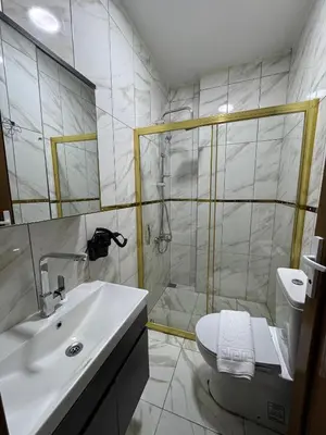 a bathroom with a sink and a shower and a toilet at beyzade palace in Istanbul