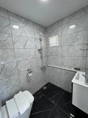 a bathroom with a toilet and a sink at beyzade palace in Istanbul