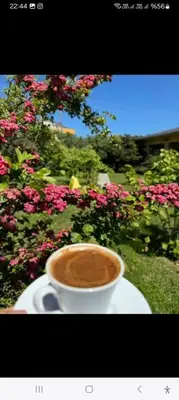 a cup of coffee sitting on a plate next to flowers at Meşeliev Pansiyon in Demirköy