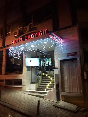a hotel lobby with a hotel capacity sign and lights at Hotel Çağyiğit in Istanbul