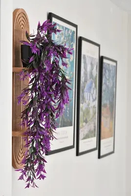 a row of framed pictures on a wall with purple flowers at Cute Home Balcony Retro Design AC Galata in Istanbul