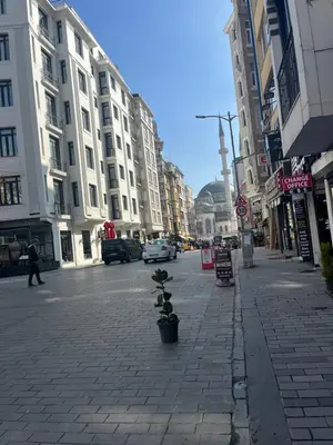 a city street with tall buildings and a sidewalk with a plant at Murat bey konağı in Istanbul