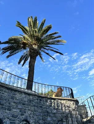 a dog standing behind a fence next to a palm tree at Villa Büyükada I Private Pier & Seawater Pool in Istanbul