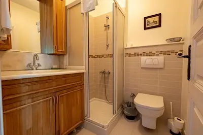a bathroom with a toilet and a shower at House with Terrace in Sultanahmet in Istanbul