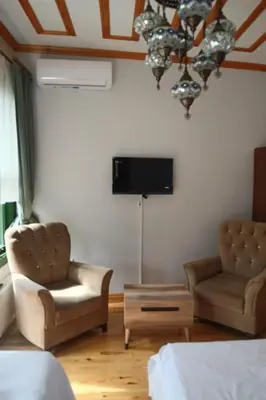 a living room with two chairs and a tv on the wall at 3 Floor History Mansion in Istanbul