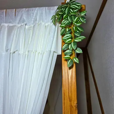 a plant on the side of a curtain at Uludag Zirve Garden - BBQ Jacuzzi