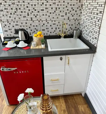a kitchen with a white sink and a red refrigerator at Ağva Nehir Kenarı TinyHouse Jakuzili in Sile