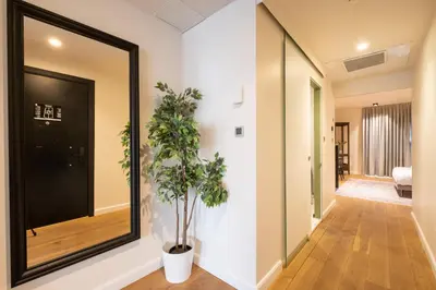 a hallway with a mirror and a potted plant at Galata 21,1 in Istanbul
