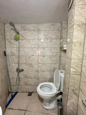 a bathroom with a toilet and a shower at Lavina Apartment in Istanbul