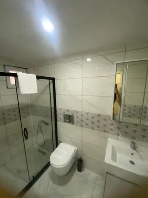 a bathroom with a shower and a toilet and a sink at Muhterem Hanım Konağı in Istanbul