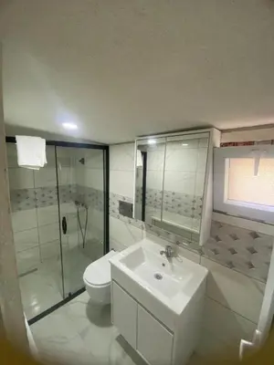 a bathroom with a sink and a toilet at Muhterem Hanım Konağı in Istanbul