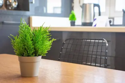 a potted plant sitting on a table in a kitchen at Modern 2BR Flat 1min walk to Taksim square in Istanbul