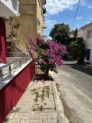 a bush of pink flowers on the side of a building at Garden House Heybeliada in Adalar