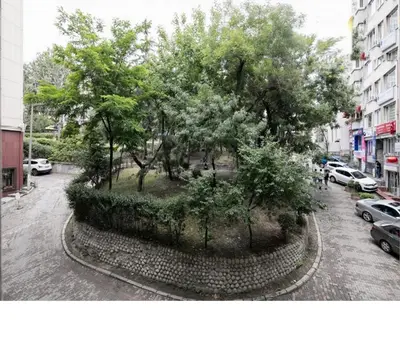 a tree in the middle of a street with cars at Hotel Taksim Home in Istanbul