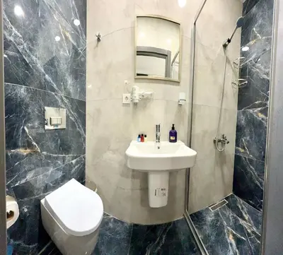 a bathroom with a sink and a toilet and a mirror at Armagan Home Taksim in Istanbul