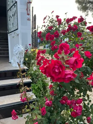 a bouquet of red roses next to a clock at Kumbağ Otel in Kumbağ